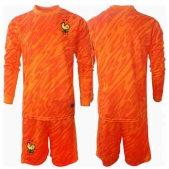 Francia Portiere Maglia Gara Trasferta Repliche Europei 2024 Bambino Maniche Lunghe